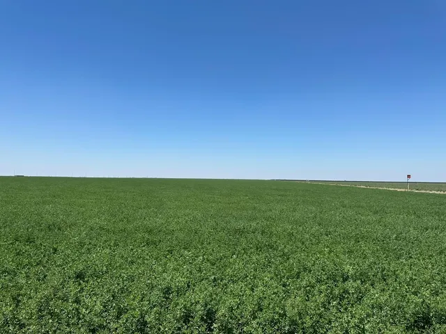 a view of building and parking space