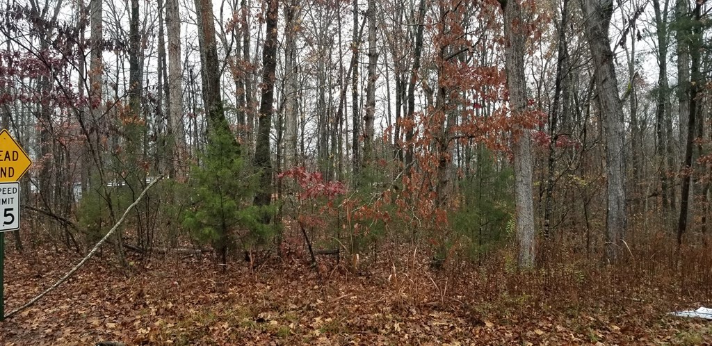 0 Coleman Road Decatur, TN 37322 - Photo 9 of 14 Gallery Image 9