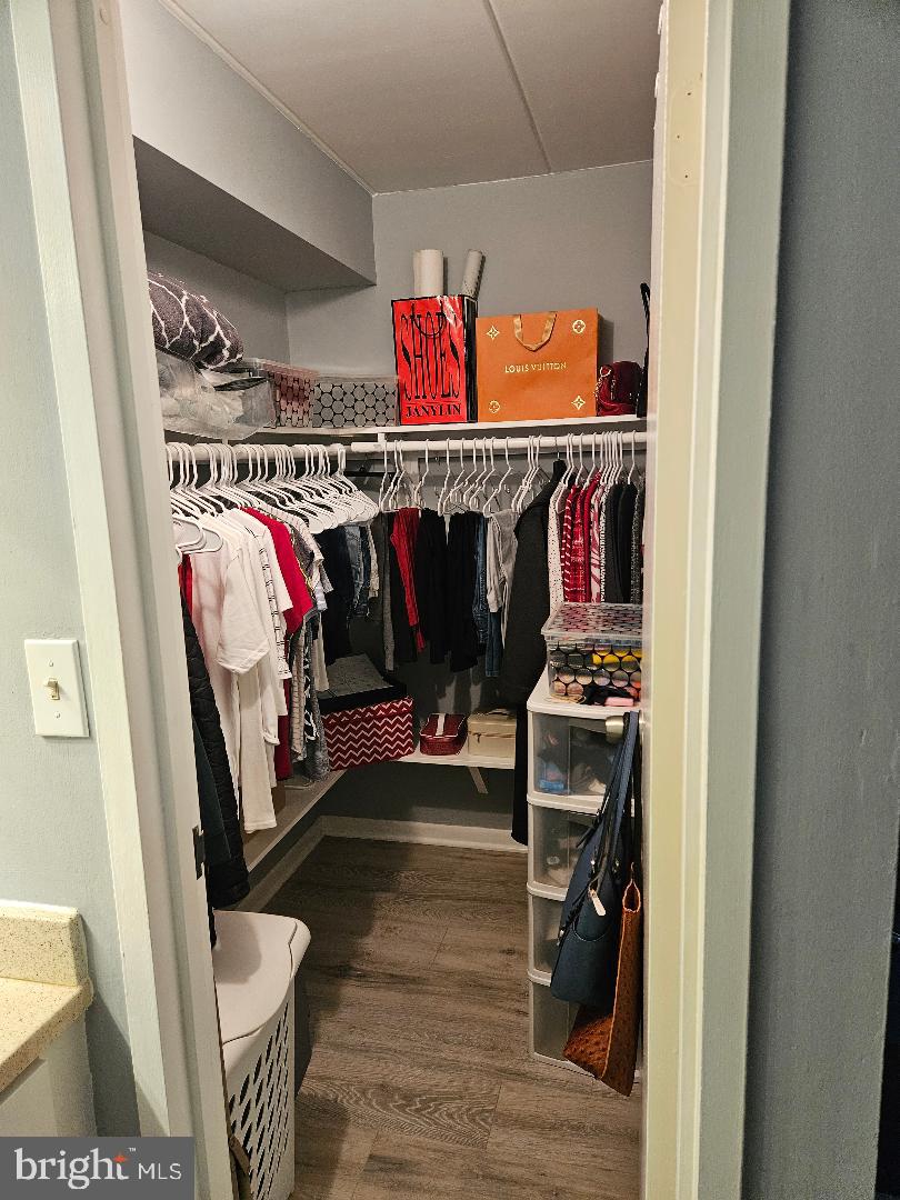 2303 Freetown Court, Unit 2B Reston, VA 20191 - Photo 20 of 22 MBR walk in closet