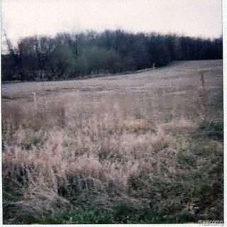6 Fish Lake Road North Branch, MI 48461 - Photo 1 of 1 Listing Image - 20038947