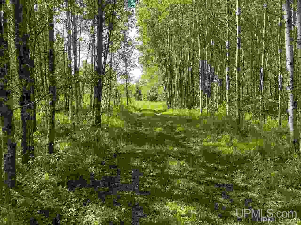 40-ac Parks Farm Road Iron River, MI 49935 - Photo 2 of 20