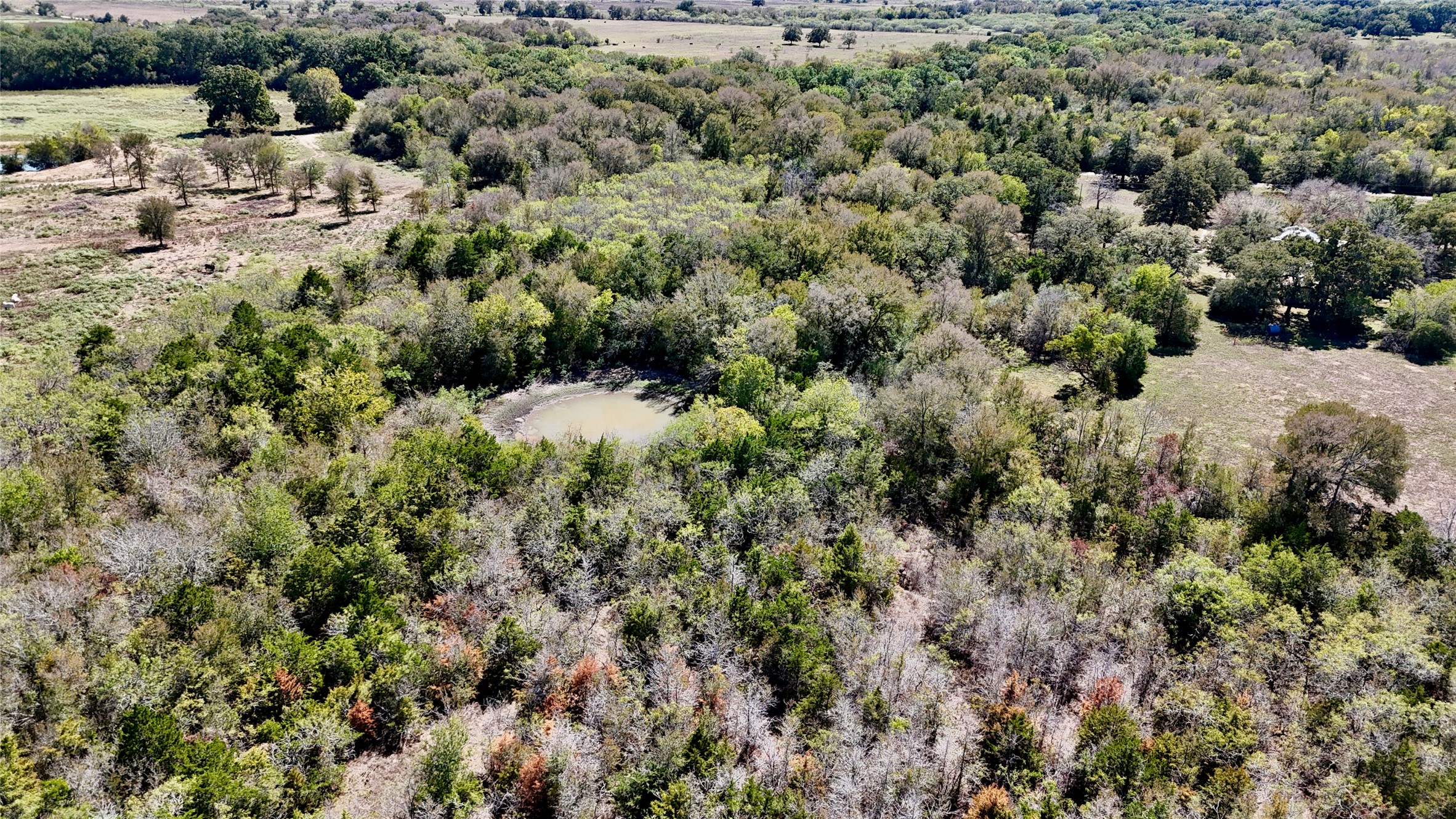 4 Maynard Hallmark Road Flatonia, TX 78941 - Photo 3 of 8 a view of a forest with a houses