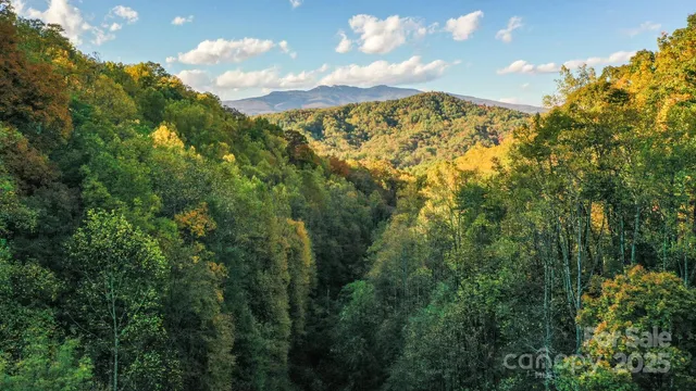 a view of an outdoor space