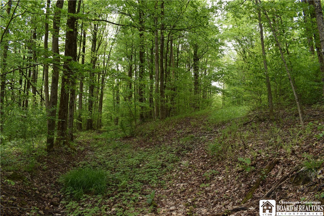 0 Harris Hollow Road Gerry, NY 14740 - Photo 6 of 23