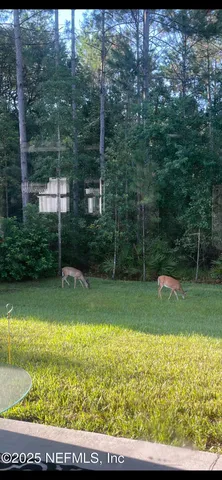 $839,000 | 4328 Eagle Landing Parkway, Orange Park, FL 32065