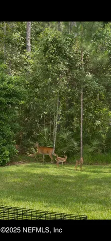 $839,000 | 4328 Eagle Landing Parkway, Orange Park, FL 32065