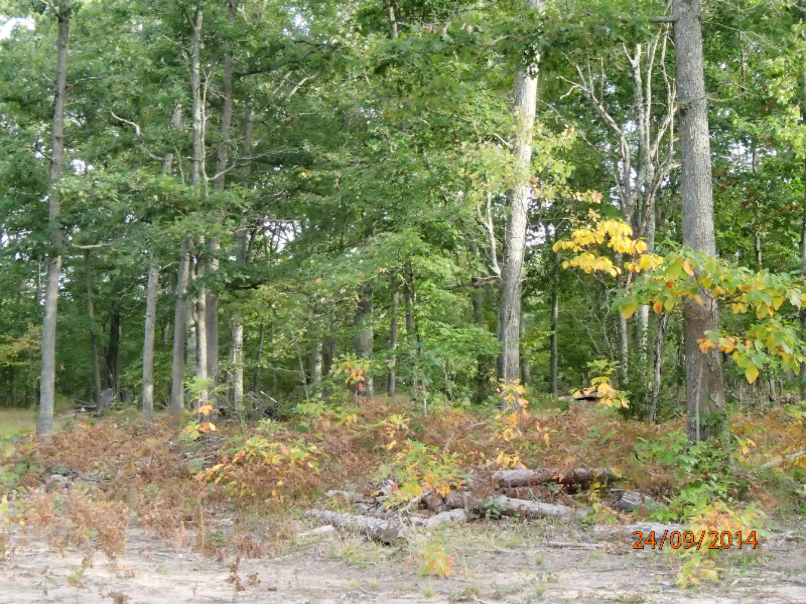 8 West McKinley Road Rothbury, MI 49452 - Photo 3 of 4 0 McKinley 003
