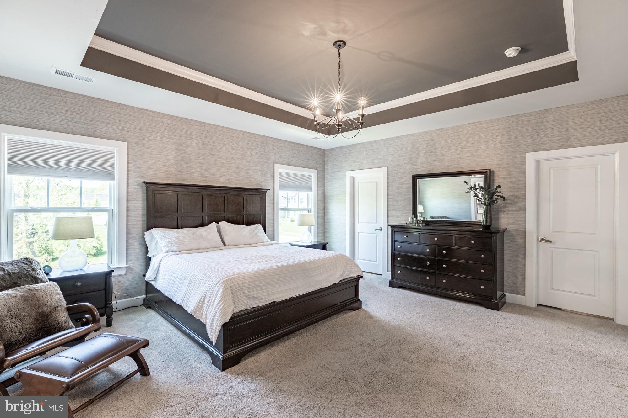 23597 Amesfield Place Aldie, VA 20105 - Photo 32 of 78 Primary bedroom with tray ceiling
