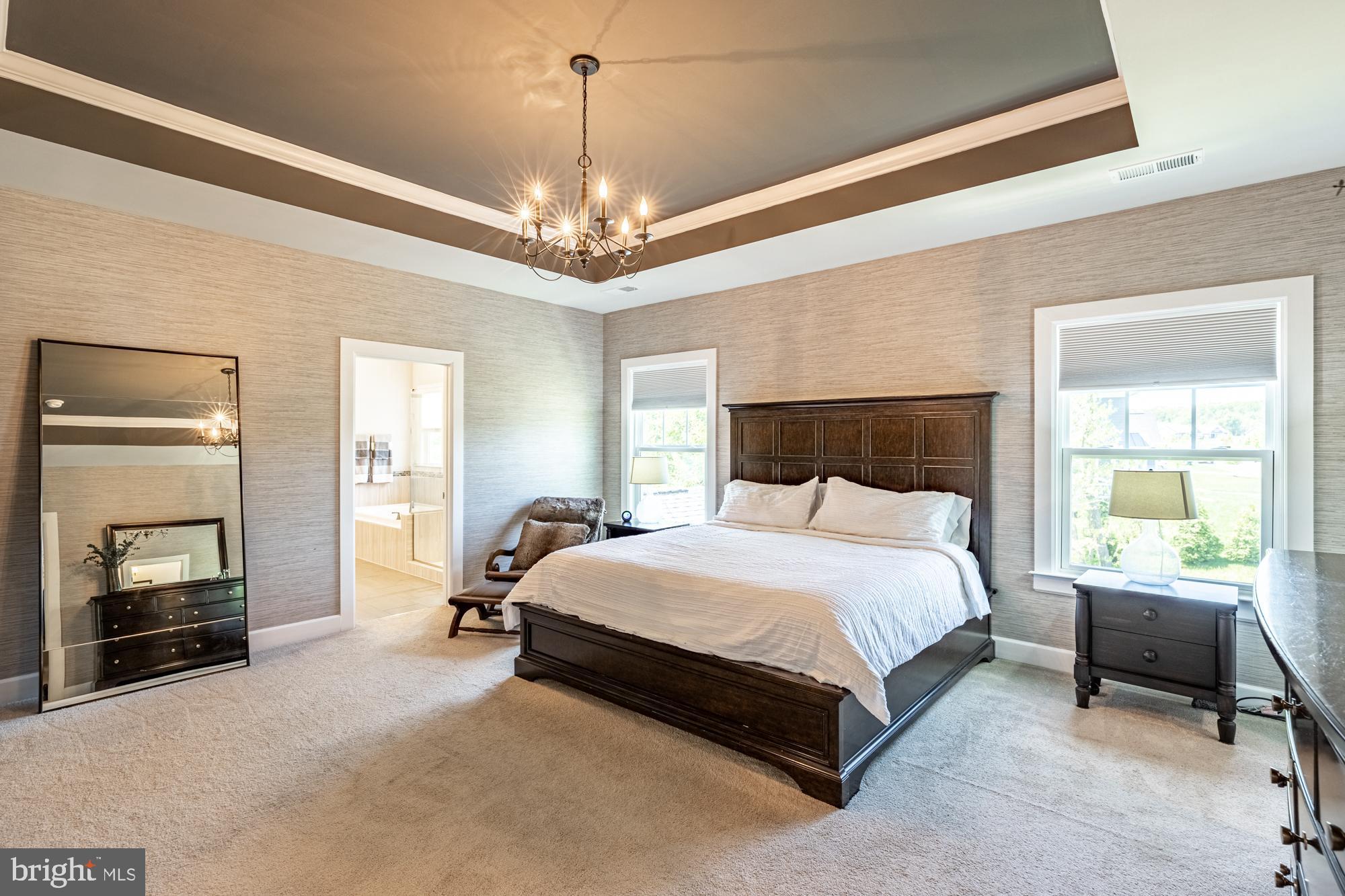 23597 Amesfield Place Aldie, VA 20105 - Photo 33 of 78 Designer light fixture