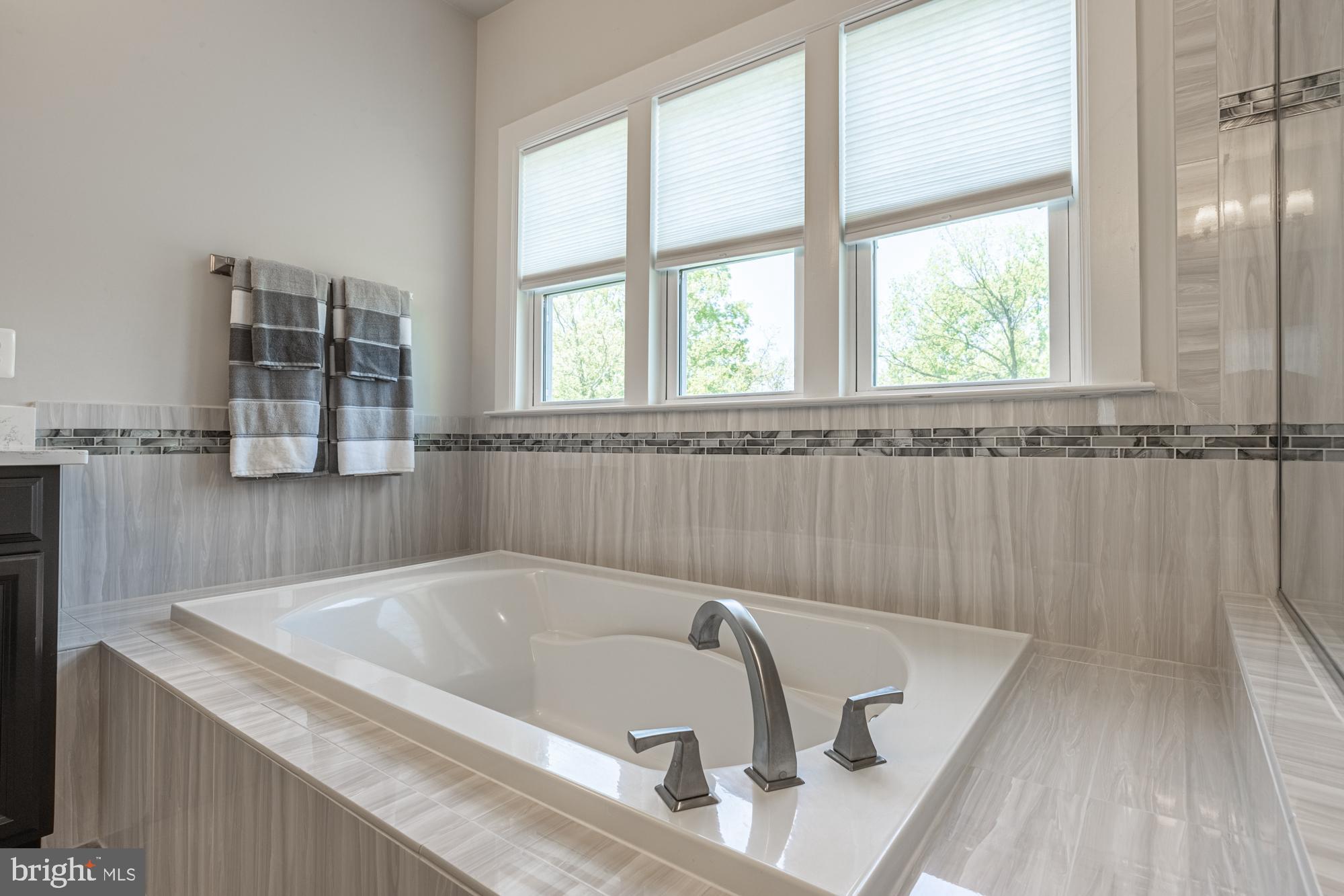 23597 Amesfield Place Aldie, VA 20105 - Photo 36 of 78 Soaking tub