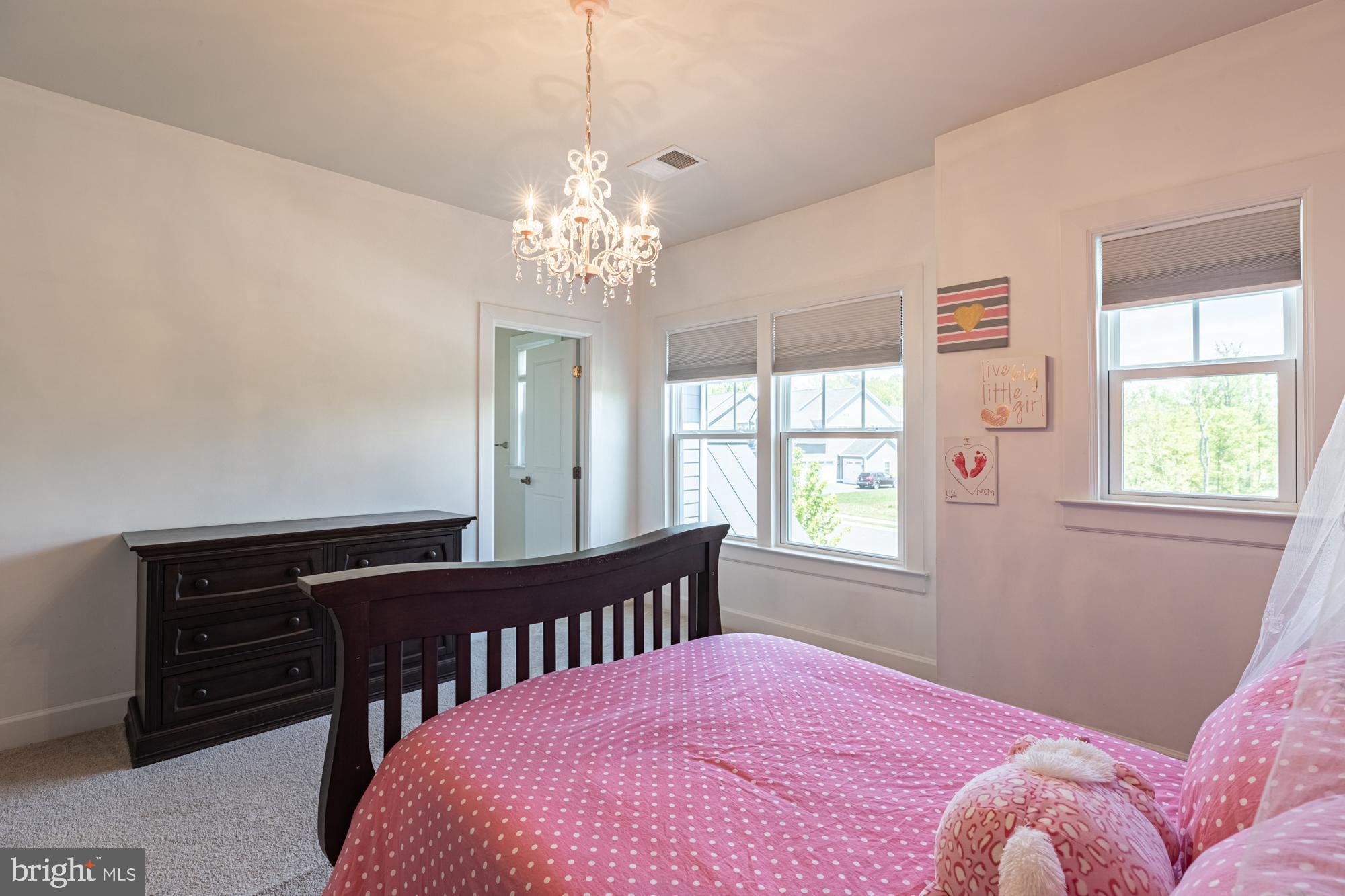 23597 Amesfield Place Aldie, VA 20105 - Photo 45 of 78 Bedroom with entry to Jack and Jill bathroom