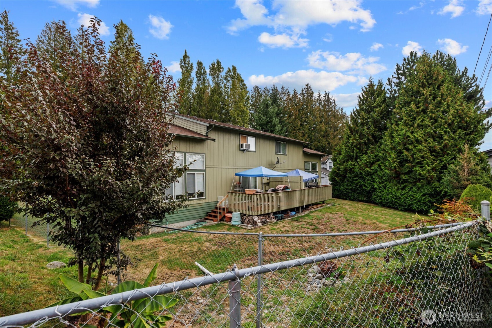 12303 Alexander Road Everett, WA 98204 - Photo 7 of 19 a view of a house with backyard and trees