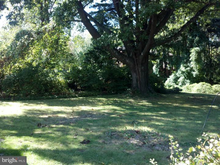 711 Mountain View Road Reading, PA 19607 - Photo 8 of 25 Back Yard