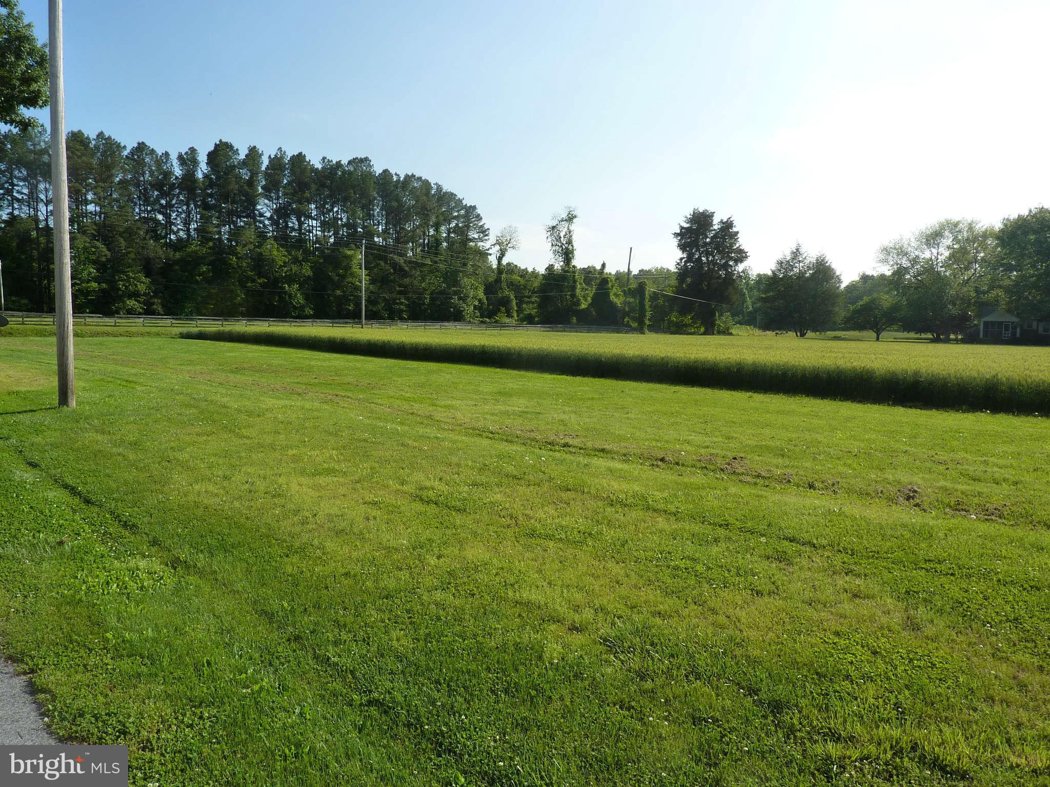 11650 Stines Store Road Charlotte Hall, MD 20622 - Photo 26 of 30 View