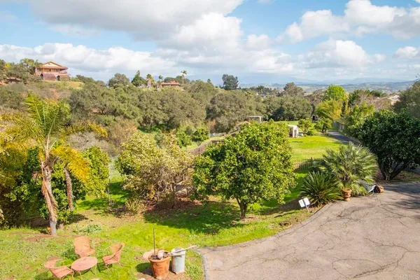 a view of a yard with plants