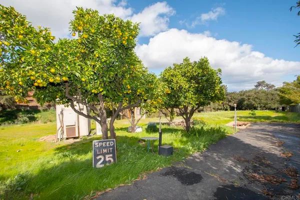 a garden view