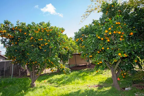 a view of a wrought iron fences in front of house