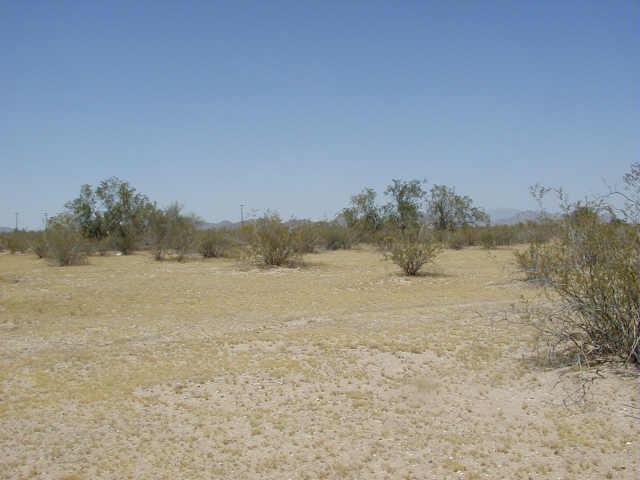 0 West Bitter Root Road, Unit 51 Maricopa, AZ 85139 - Photo 1 of 1 Primary Photo