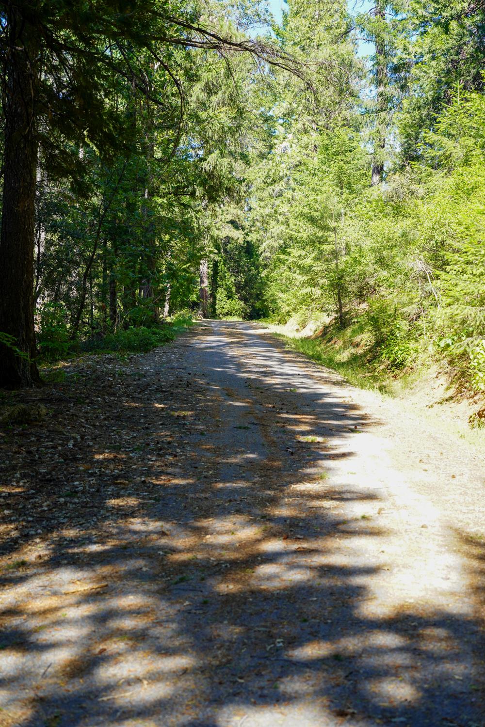30220 Magra Road Gold Run, CA 95717 - Photo 37 of 51