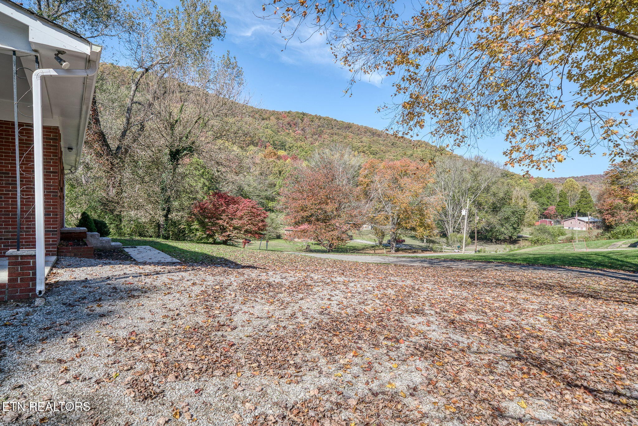 287 Watson Avenue Spring City, TN 37381 - Photo 4 of 24 a view of a yard with a tree