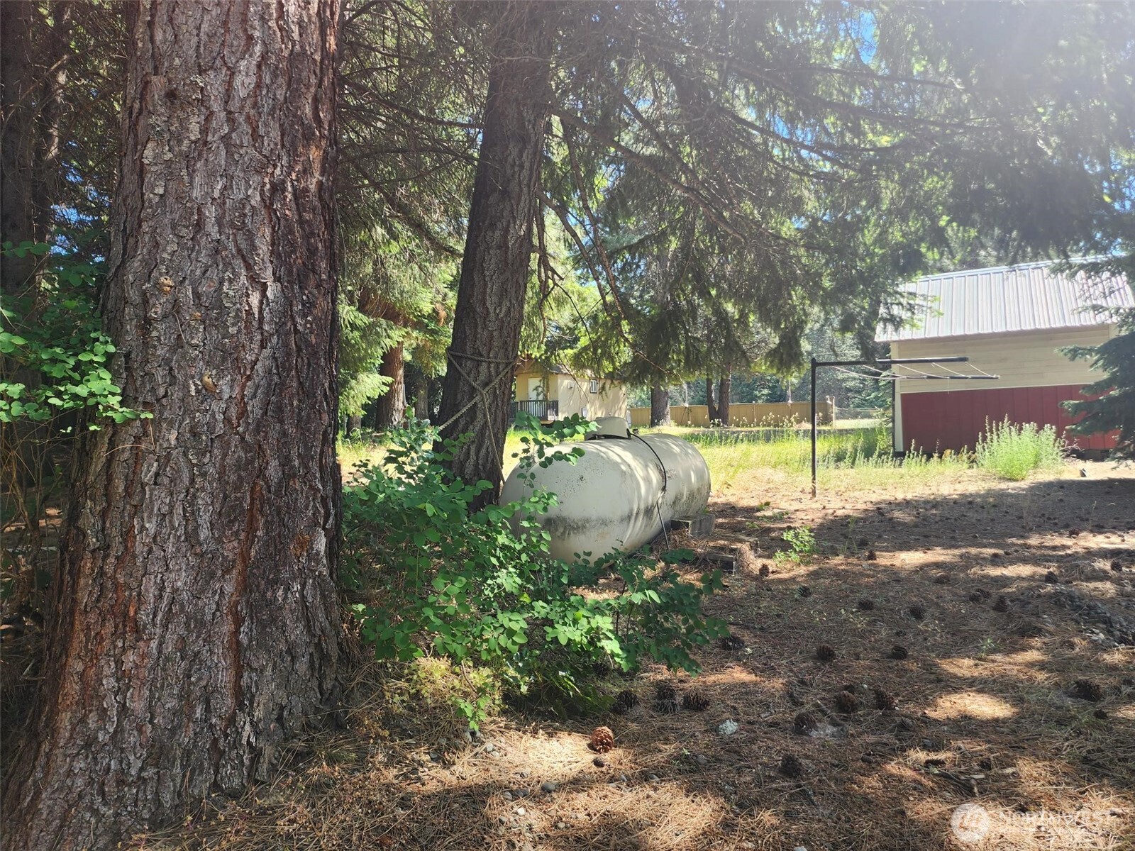 1911 Hundley Road Cle Elum, WA 98922 - Photo 7 of 13 a view of a backyard