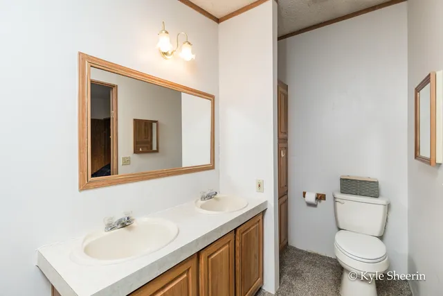 $250,000 | 2917 West Lincoln Avenue, Ionia, MI 48846