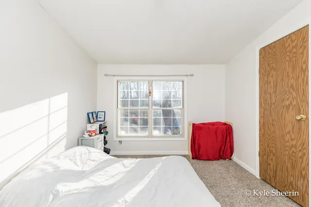 $250,000 | 2917 West Lincoln Avenue, Ionia, MI 48846