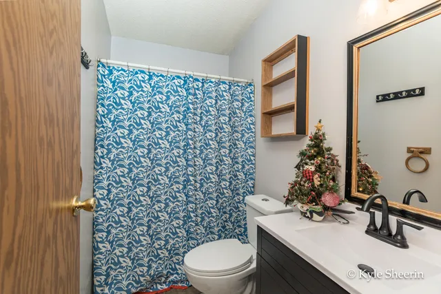 $250,000 | 2917 West Lincoln Avenue, Ionia, MI 48846