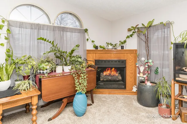 $250,000 | 2917 West Lincoln Avenue, Ionia, MI 48846