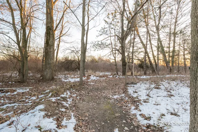 $250,000 | 2917 West Lincoln Avenue, Ionia, MI 48846