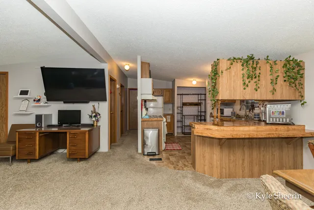 $250,000 | 2917 West Lincoln Avenue, Ionia, MI 48846