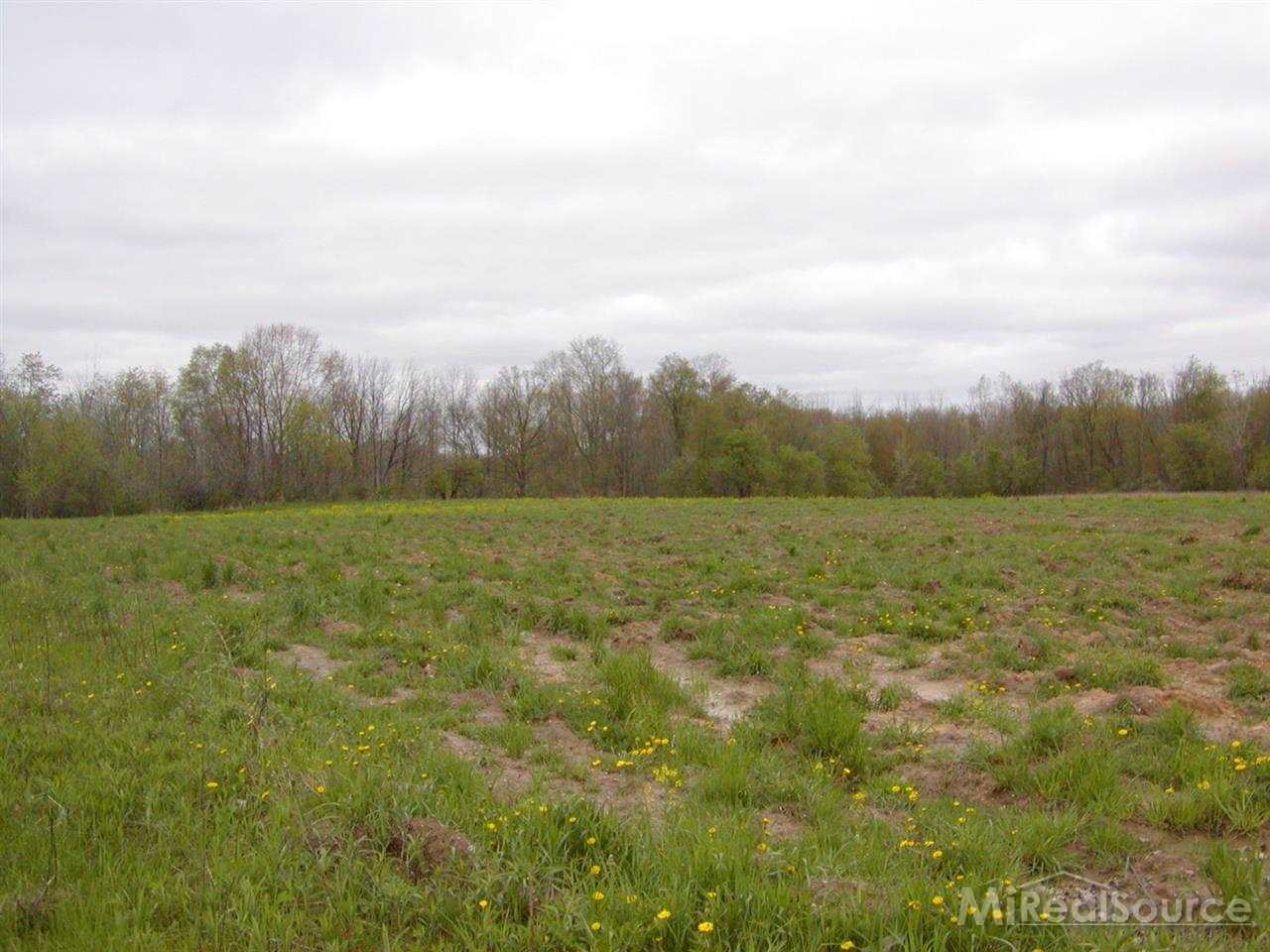 0 Stinson Road Memphis, MI 48041 - Photo 3 of 3 31192844-2.JPG