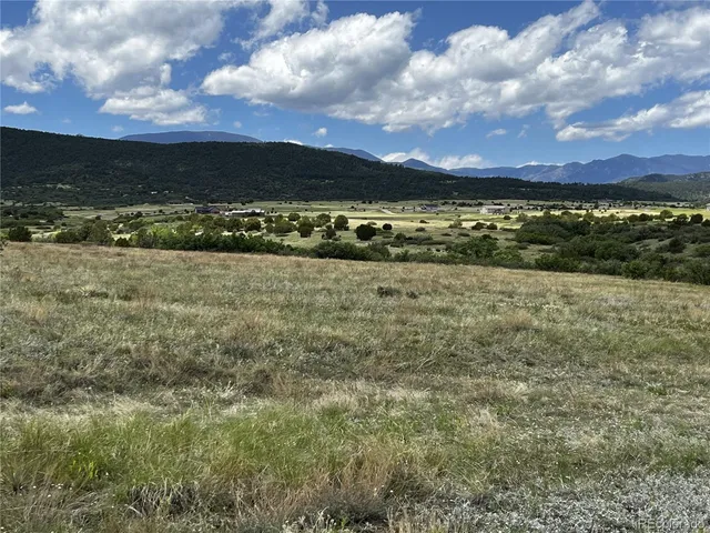 $12,000 | 142 Fort Gerry Drive, Colorado City, CO 81019