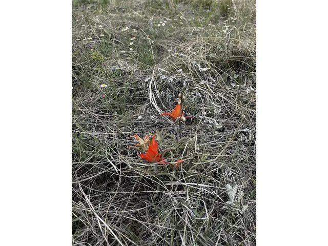 $12,000 | 142 Fort Gerry Drive, Colorado City, CO 81019