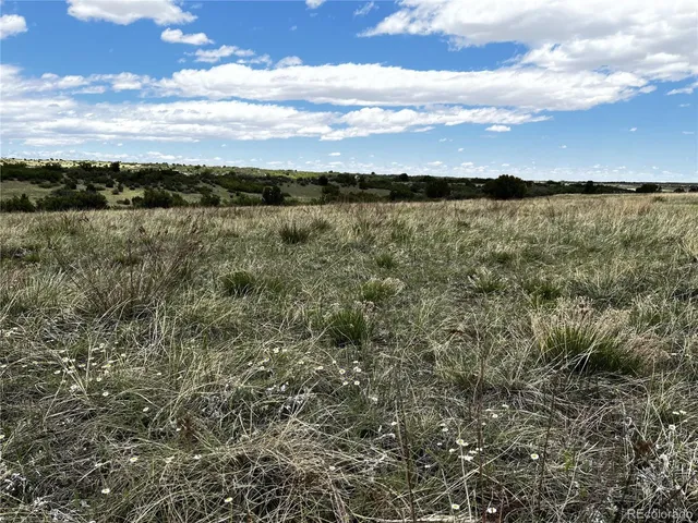 $12,000 | 142 Fort Gerry Drive, Colorado City, CO 81019