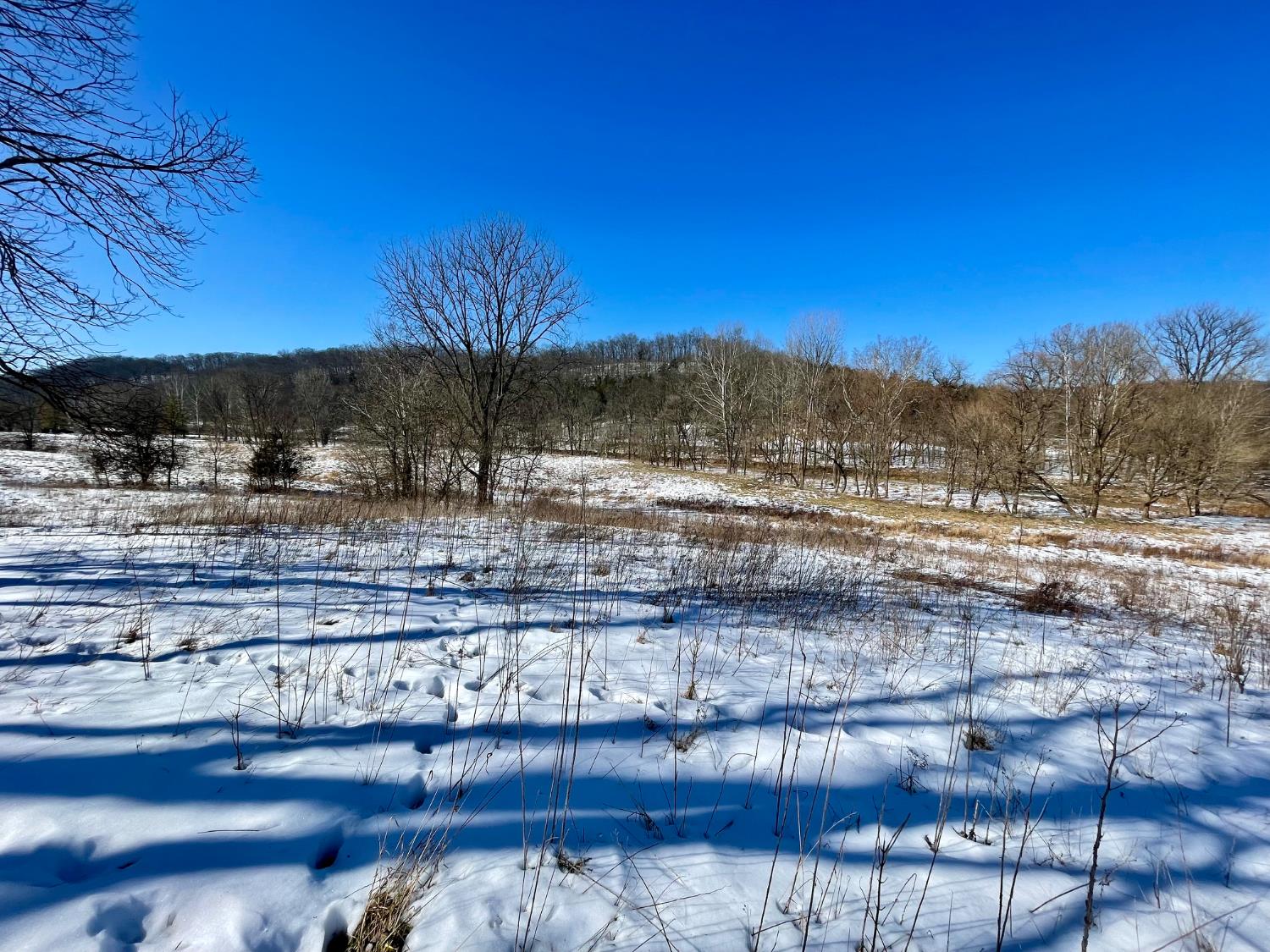 6033 Siemon Road Brookville, IN 47012 - Photo 26 of 62