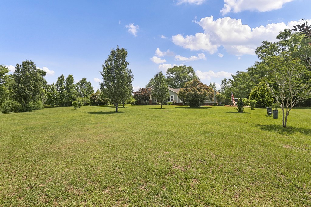 1148 Crawford Road Cowarts, AL 36321 - Photo 51 of 74