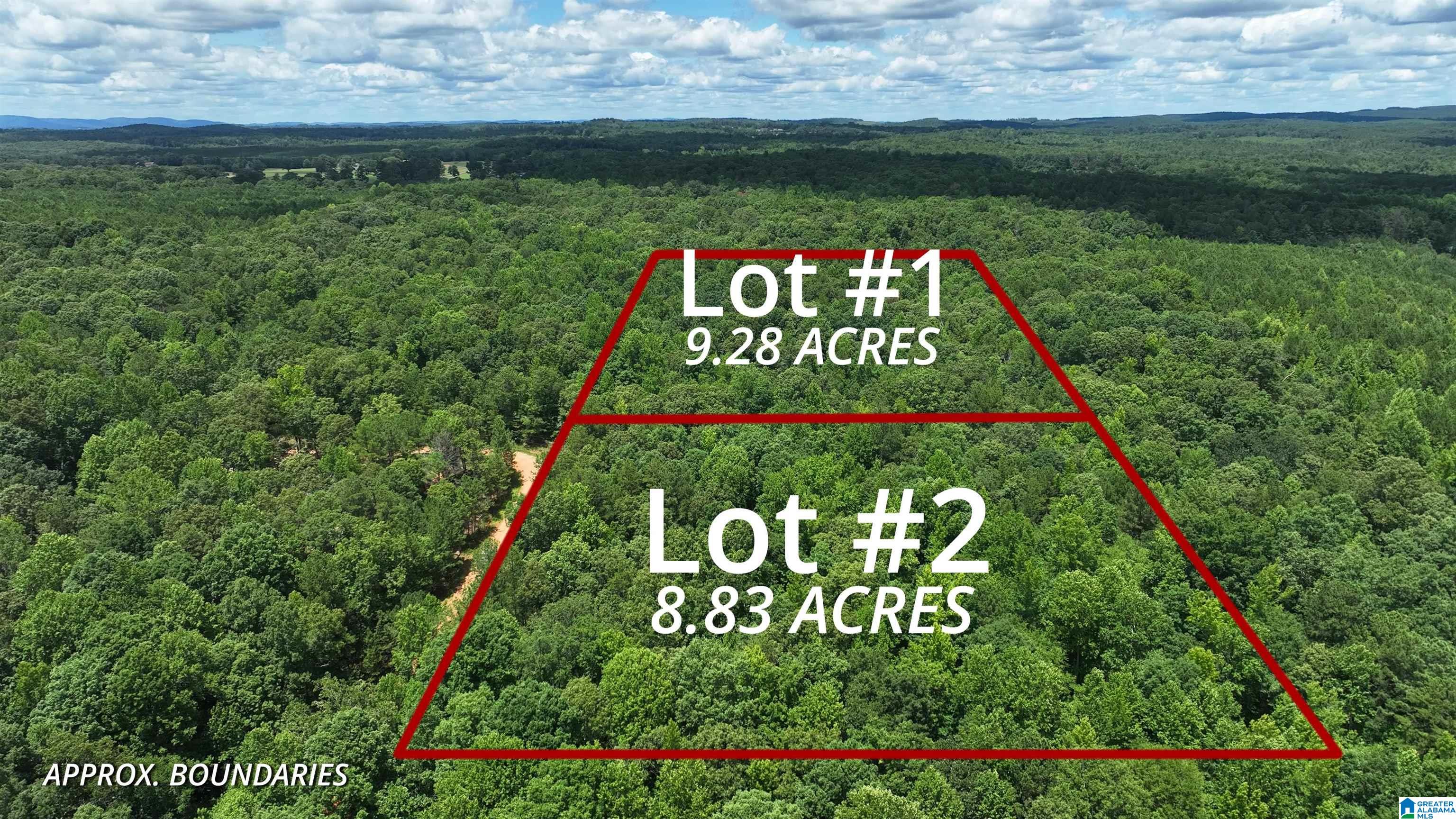 0 Pinetucky Lane Heflin, AL 36264 - Photo 1 of 16