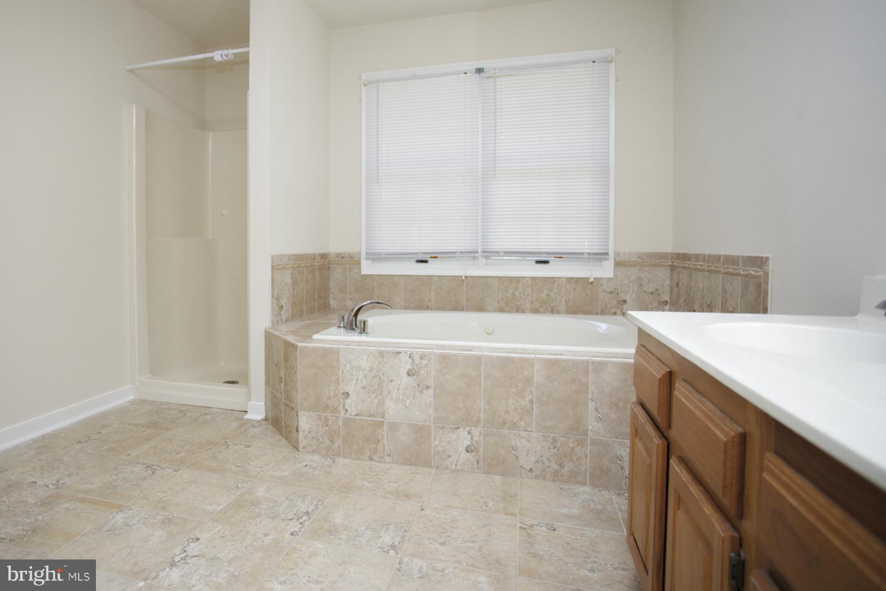 2179 Sebastian Road Fredericksburg, VA 22405 - Photo 9 of 15 Bath (Master)