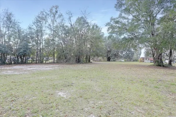 a view of dirt field with trees