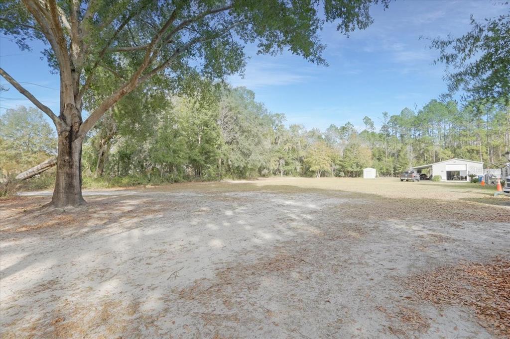 5336 County Road 791 Lake Butler, FL 32054 - Photo 23 of 25 a view of road with trees