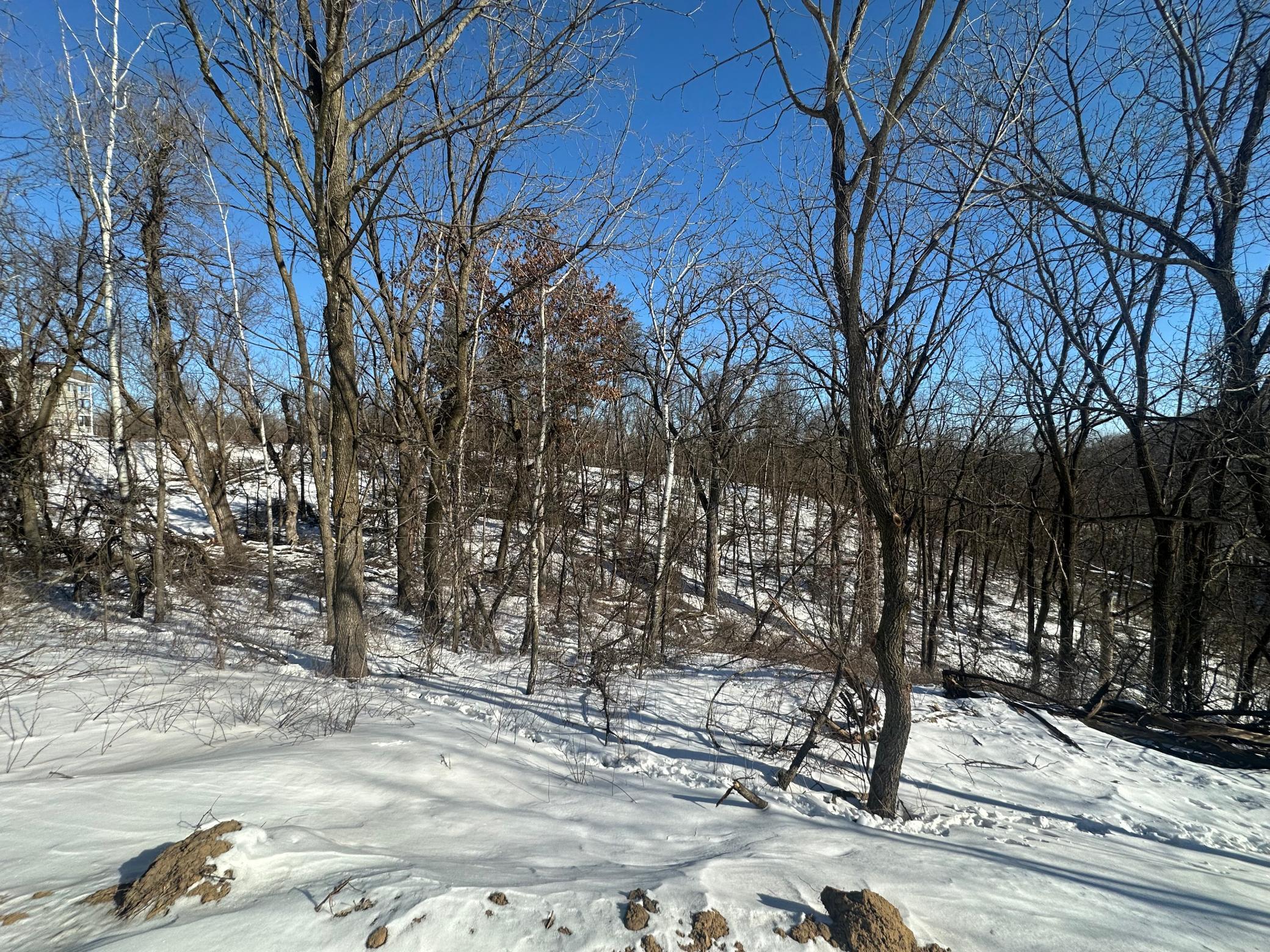 26119 Quarry Lane Red Wing, MN 55066 - Photo 3 of 11