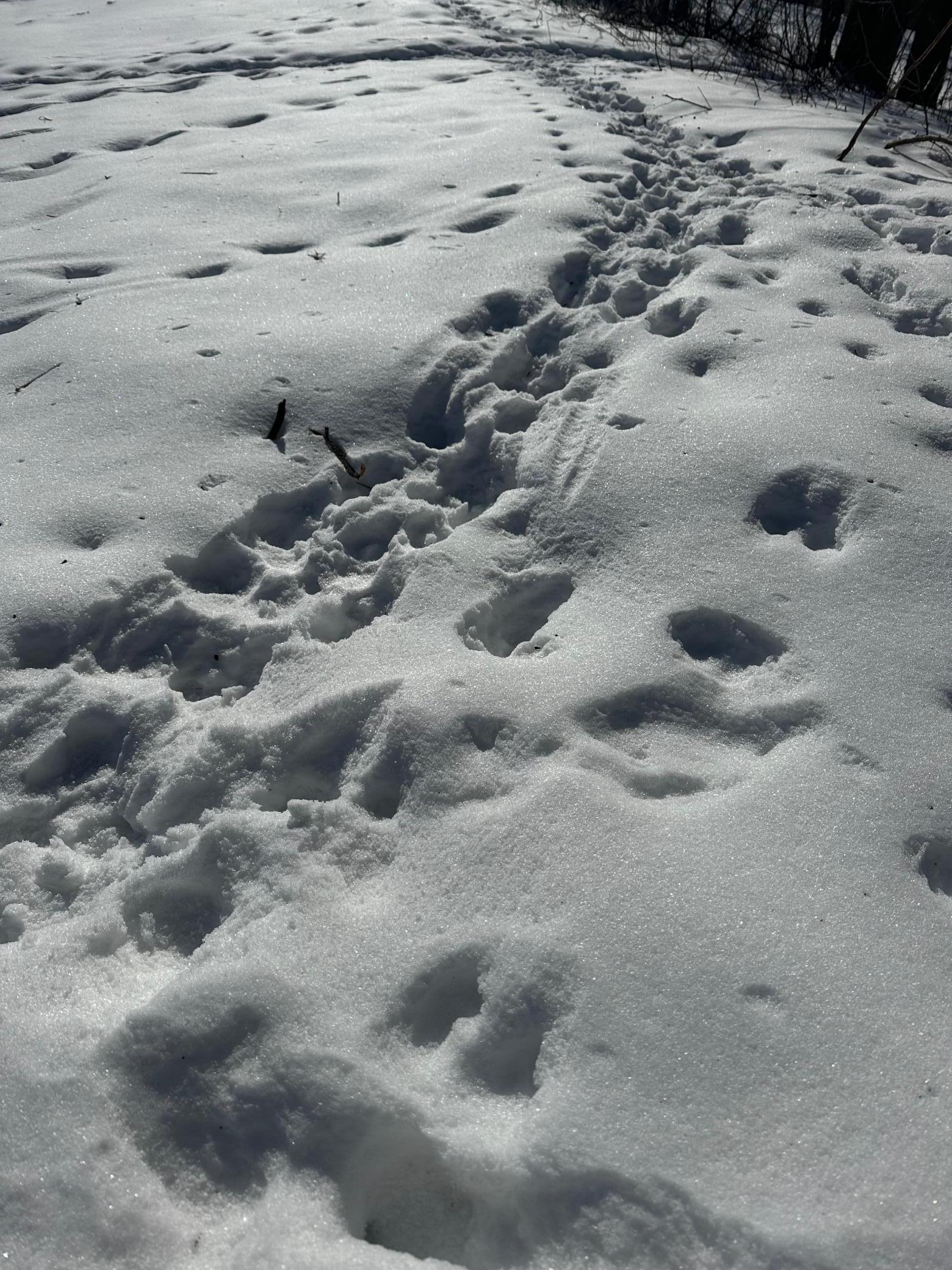 26119 Quarry Lane Red Wing, MN 55066 - Photo 5 of 11