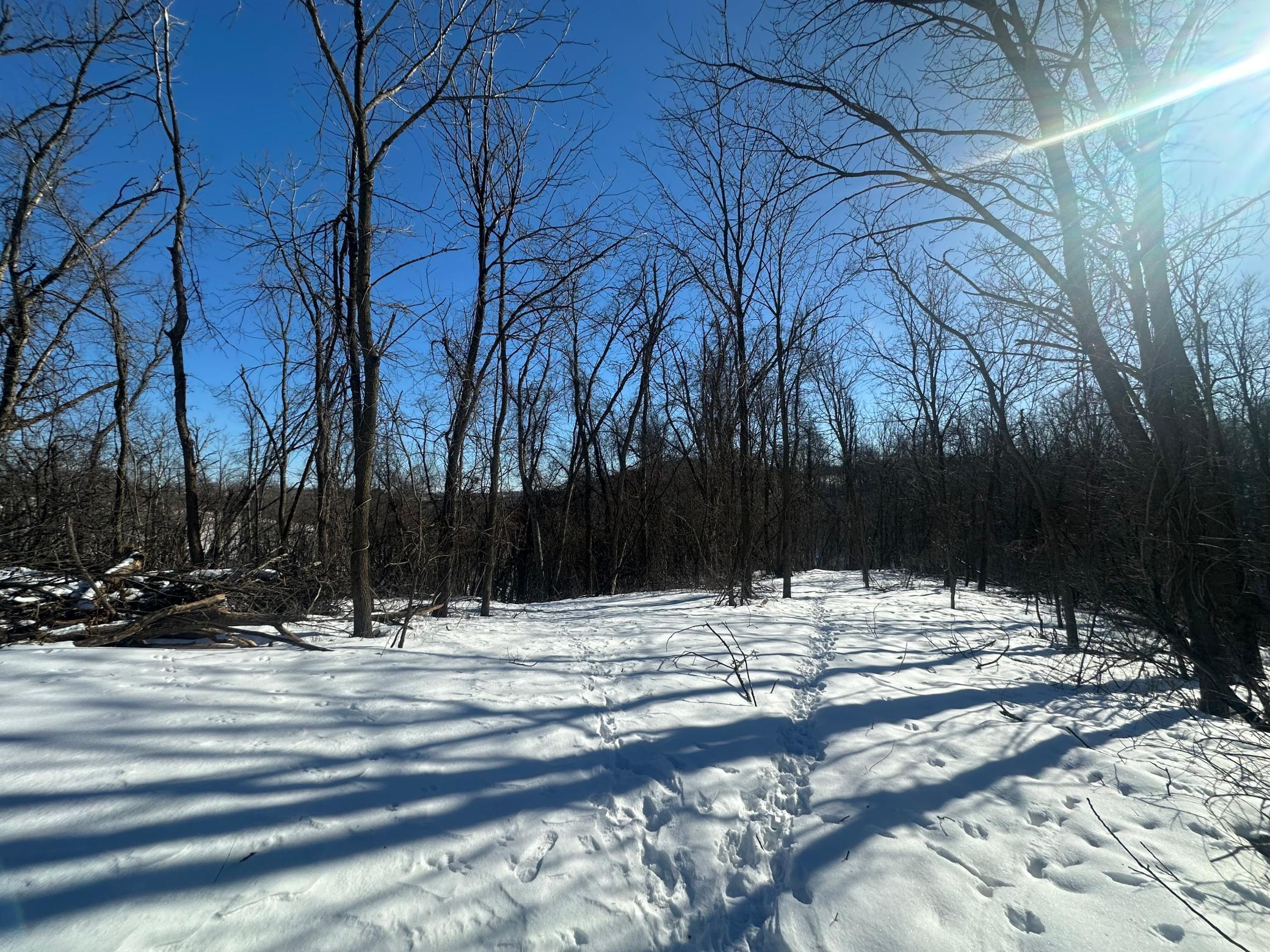 26119 Quarry Lane Red Wing, MN 55066 - Photo 6 of 11