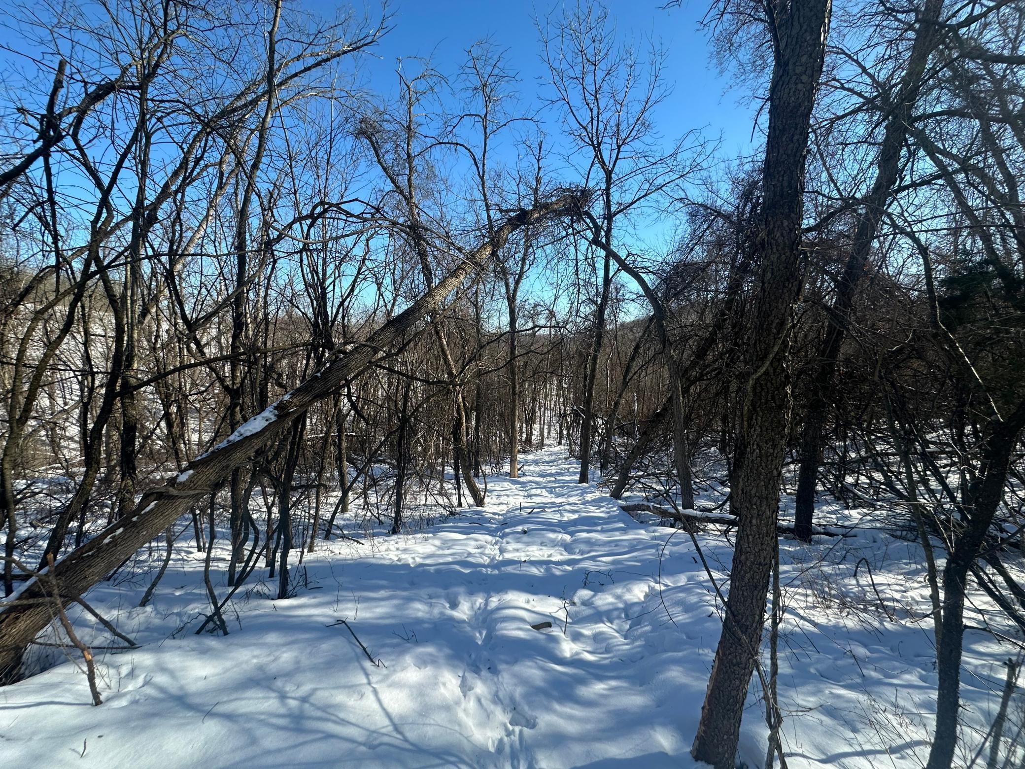 26119 Quarry Lane Red Wing, MN 55066 - Photo 8 of 11