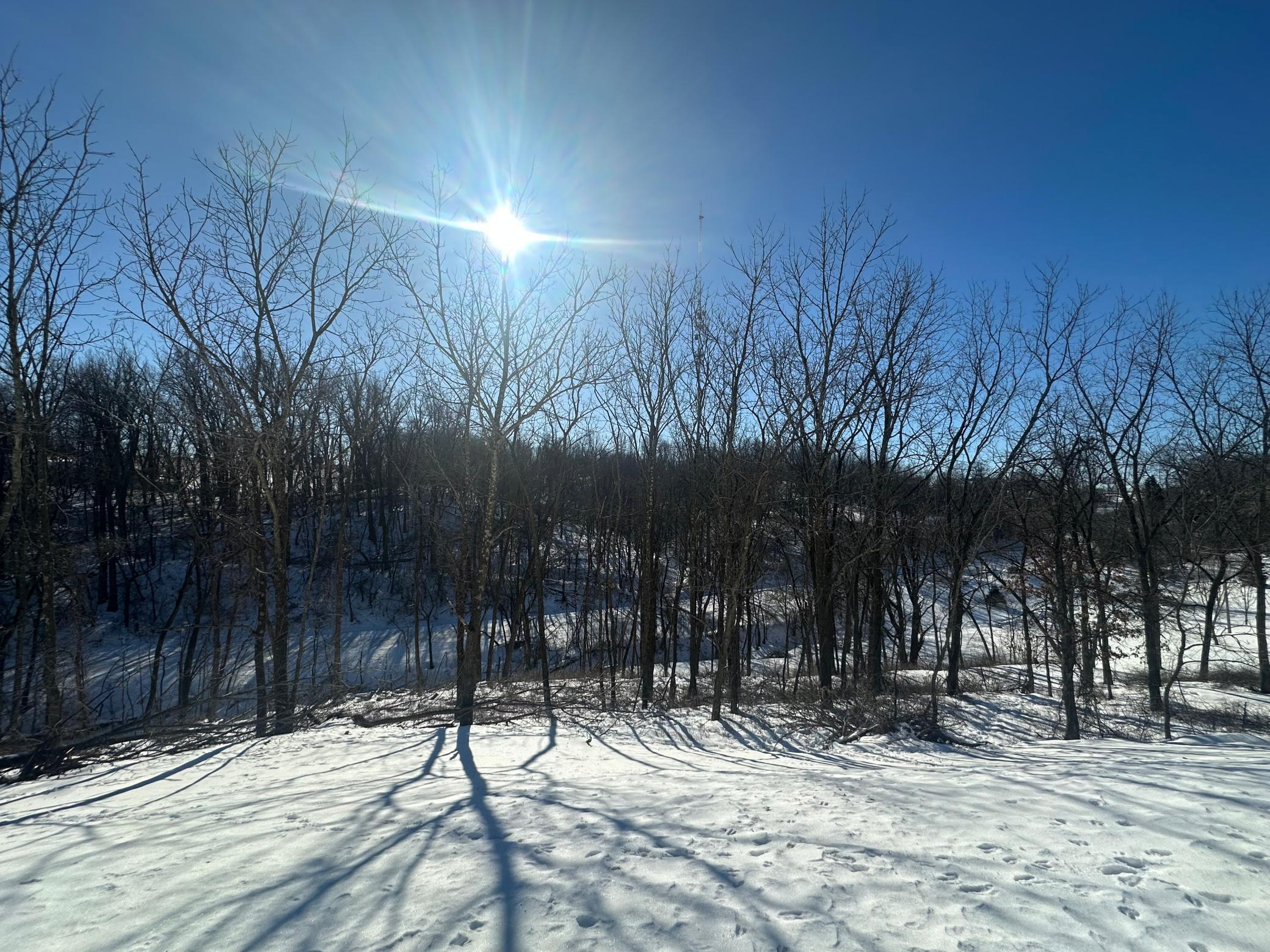 26119 Quarry Lane Red Wing, MN 55066 - Photo 9 of 11