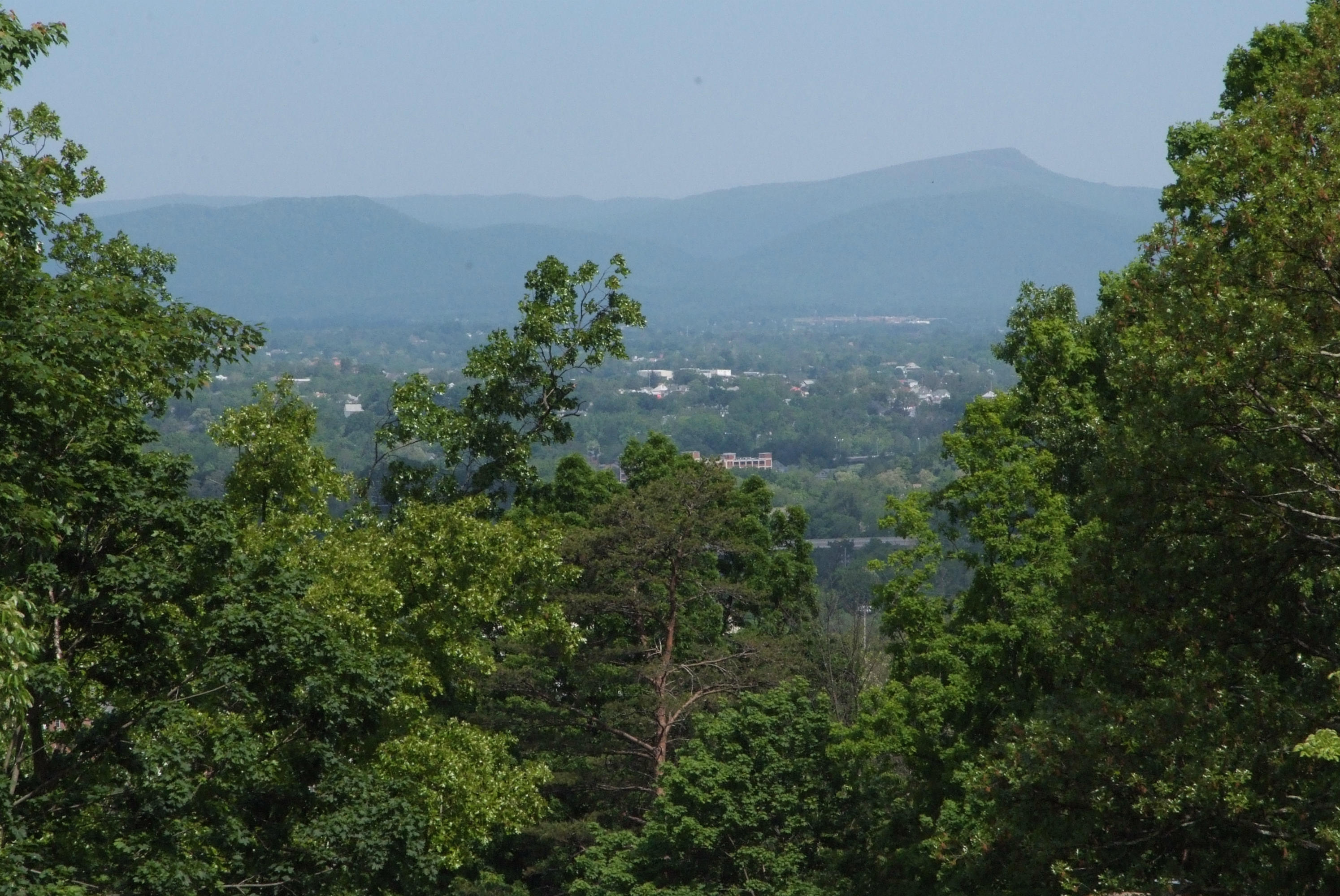 2521 Robin Hood Road Southeast Roanoke, VA 24014 - Photo 17 of 20 EXTERIOR