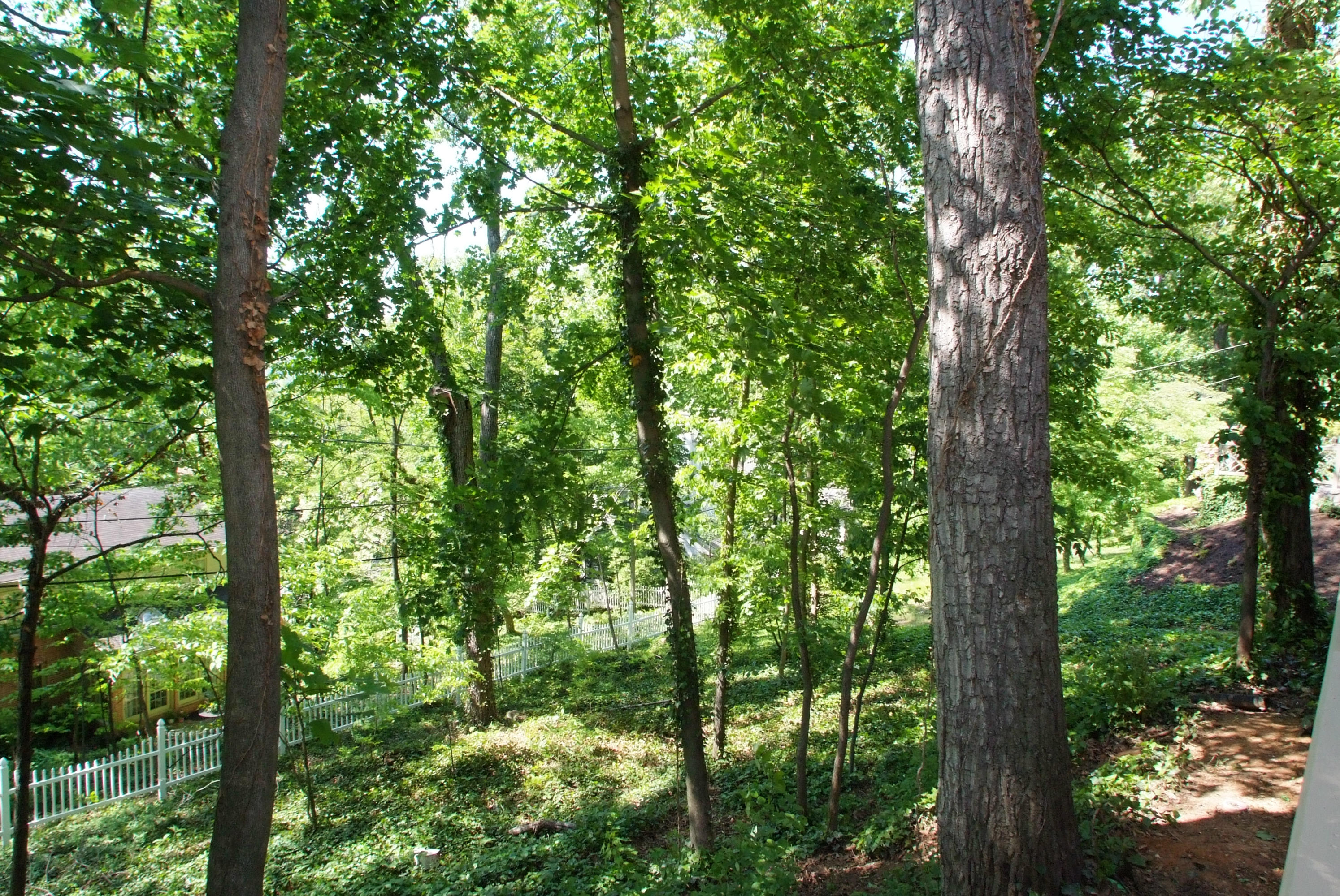 2521 Robin Hood Road Southeast Roanoke, VA 24014 - Photo 19 of 20 EXTERIOR