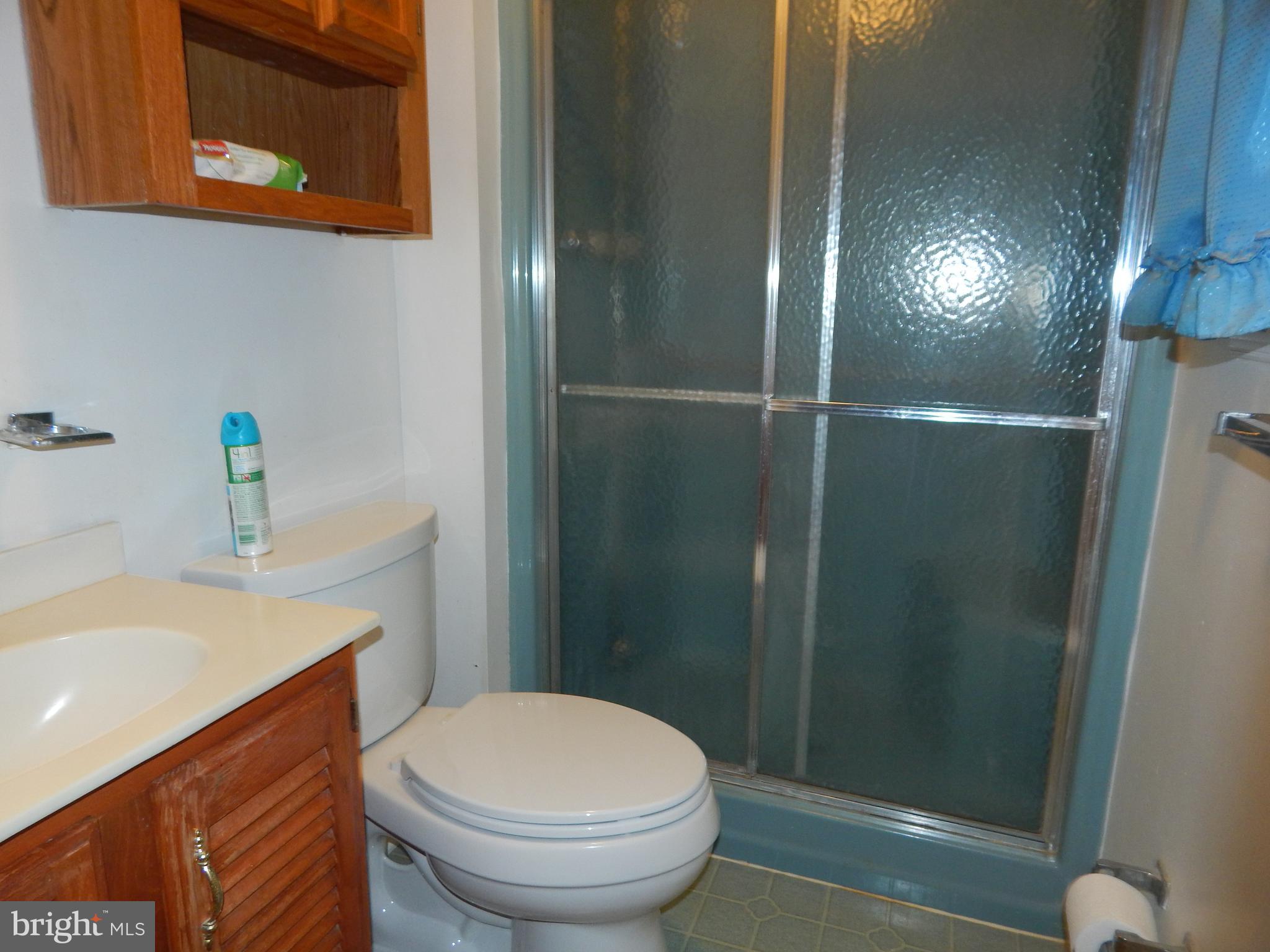 3399 Ady Road Street, MD 21154 - Photo 23 of 30 Master Bath