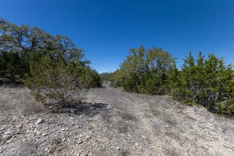 a view of a yard with a tree